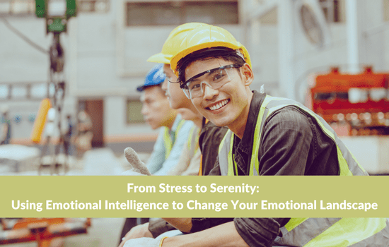 Marshall Connects article, "From Stress to Serenity: Using Emotional Intelligence to Change Your Emotional Landscape"